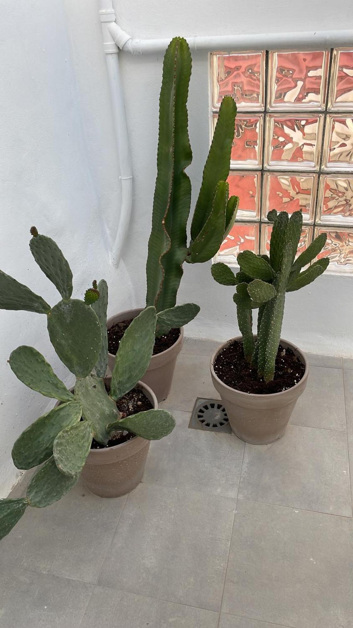Appartamento Casa Florinda Tarifa Esterno foto